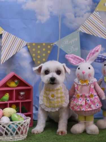 20240320うららちゃん